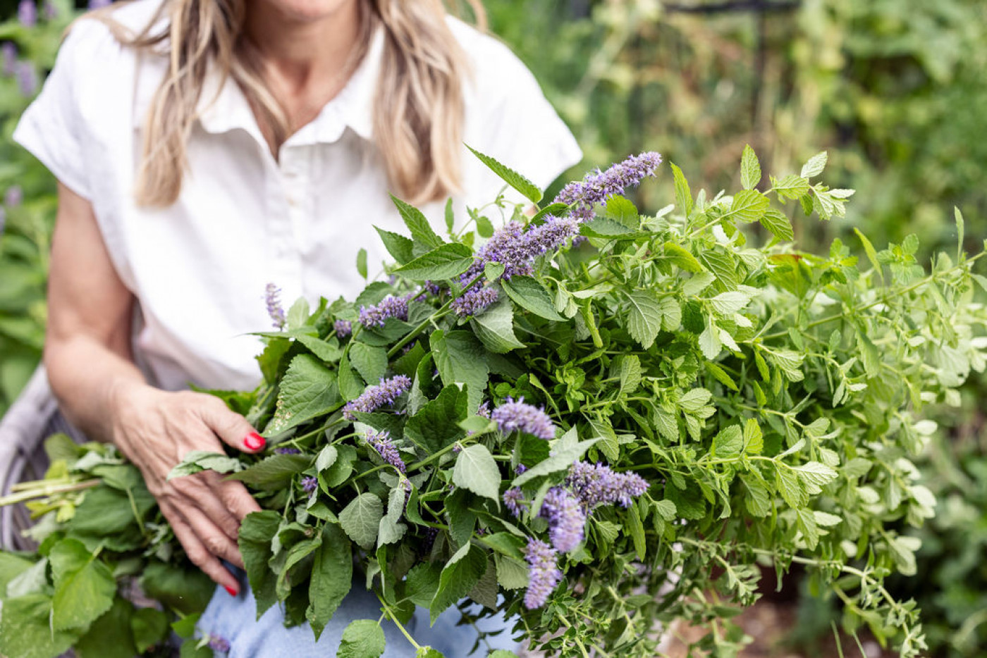 Lemon balm-reducing anxiety and stress, improving sleep, aiding digestion, and potentially boosting cognitive function.
