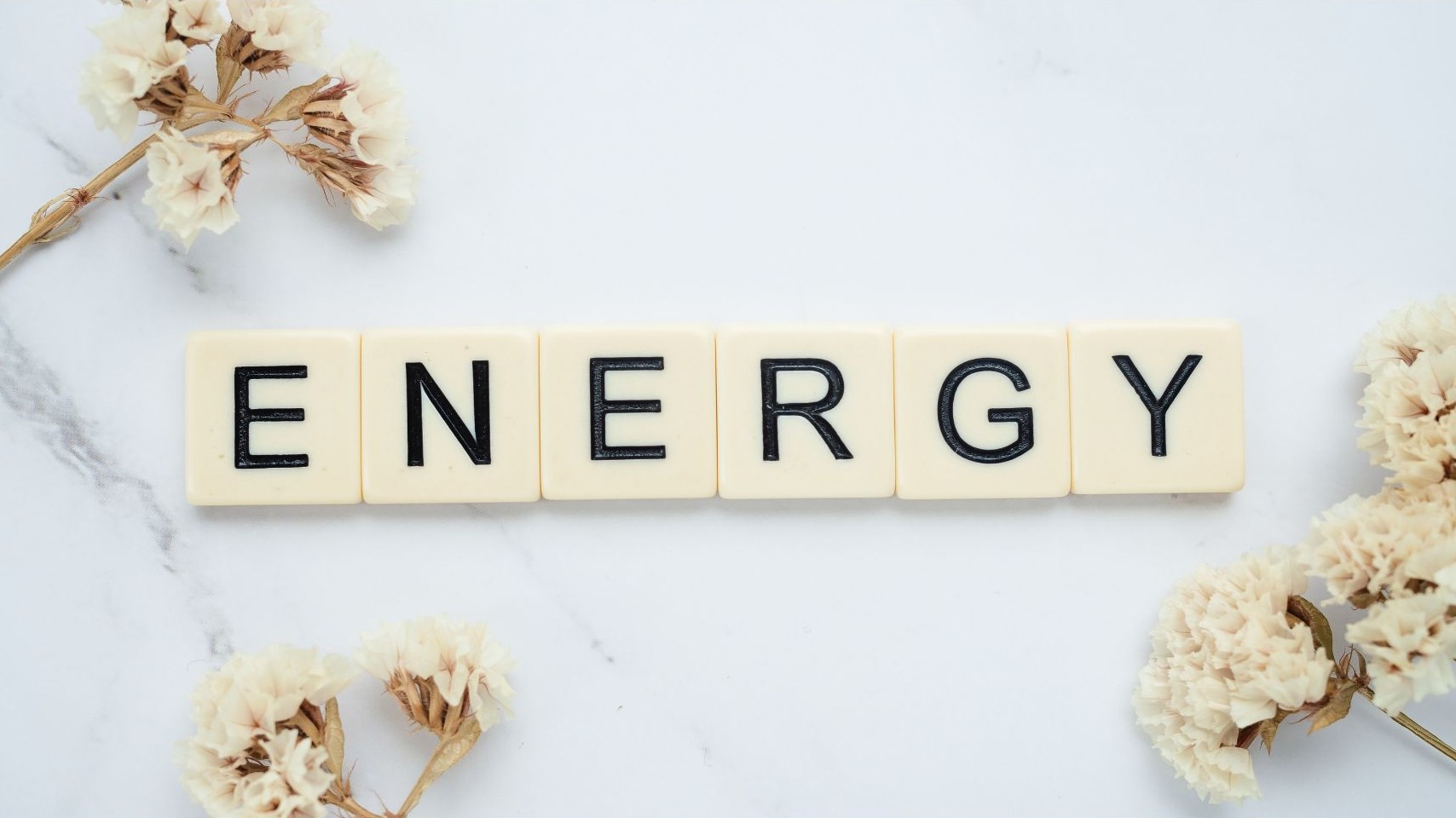 Energy, How to Improve It and the Plants That Help | Naturulz Friday Newsletter